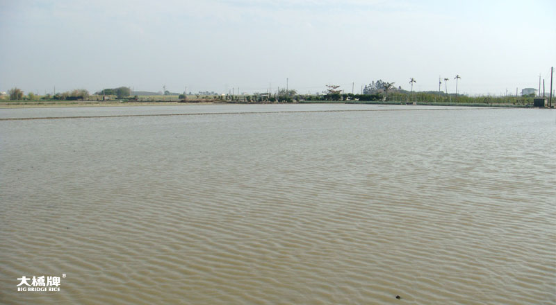 0410_Yoshuicheng-05.jpg