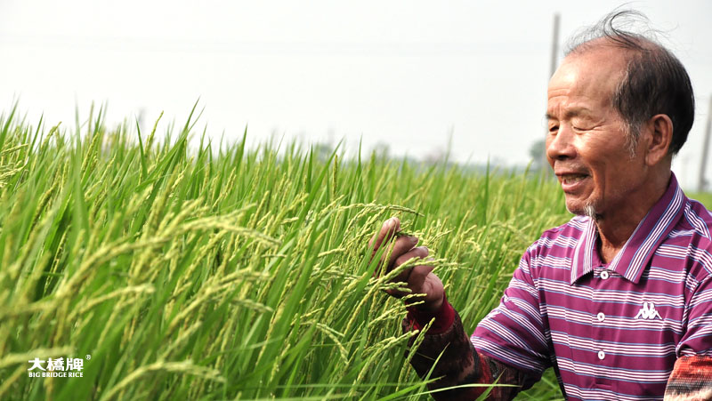 2013_xiejinnan-02.jpg