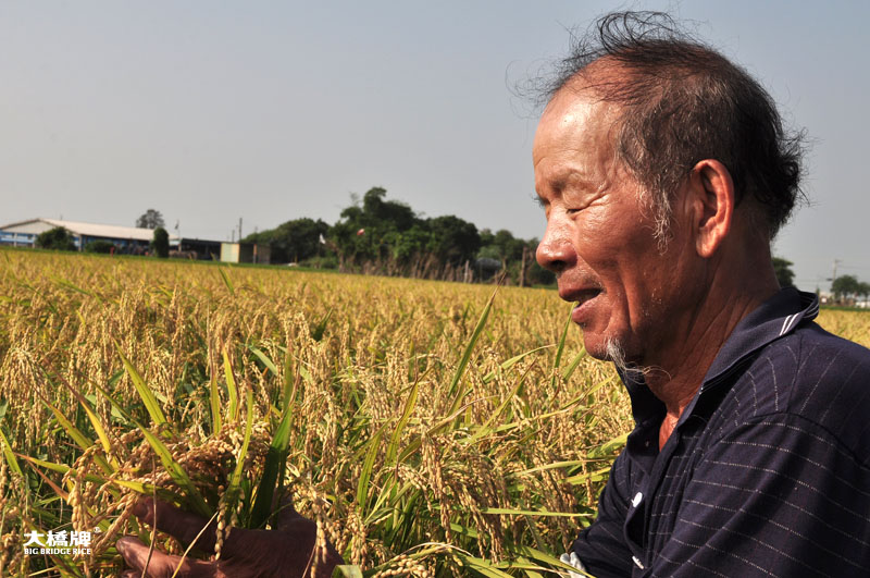 2013_xiejinnan-07.jpg