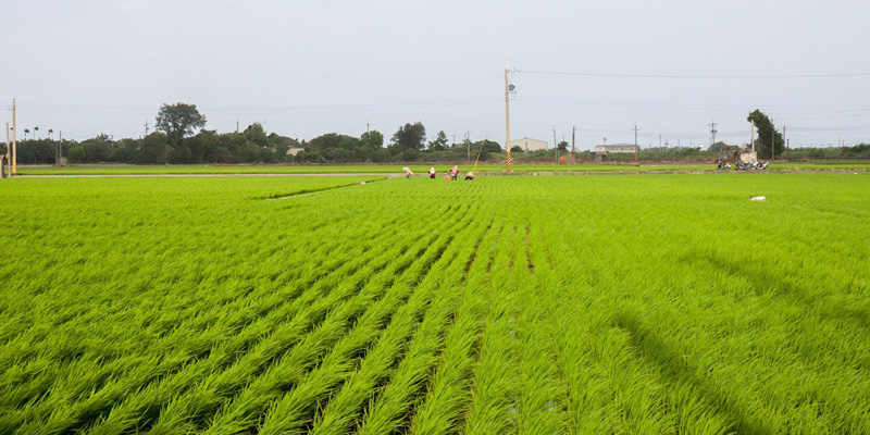 Zhong0907 (10).jpg
