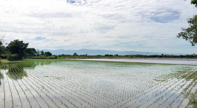 Zhong20150907 (6)_0.jpg