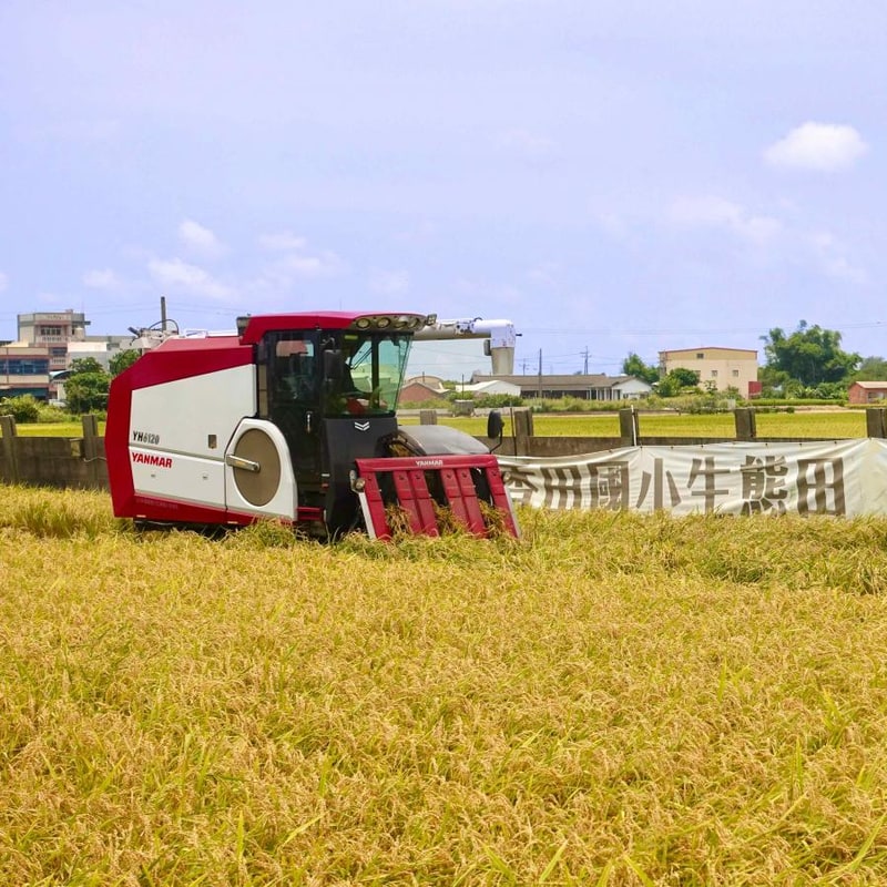 收割機在金黃稻田裡採收